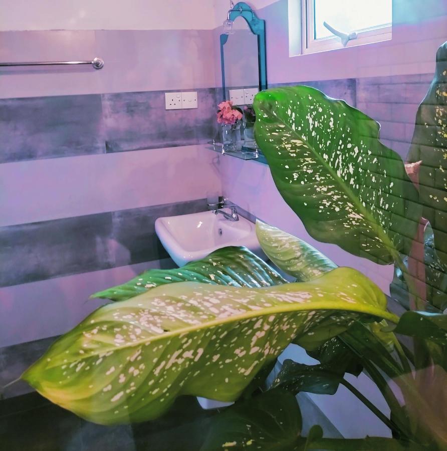 ホテル Secret Swell タンガラ エクステリア 写真