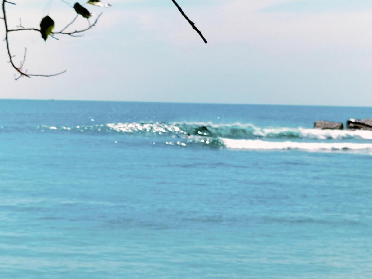 ホテル Secret Swell タンガラ エクステリア 写真