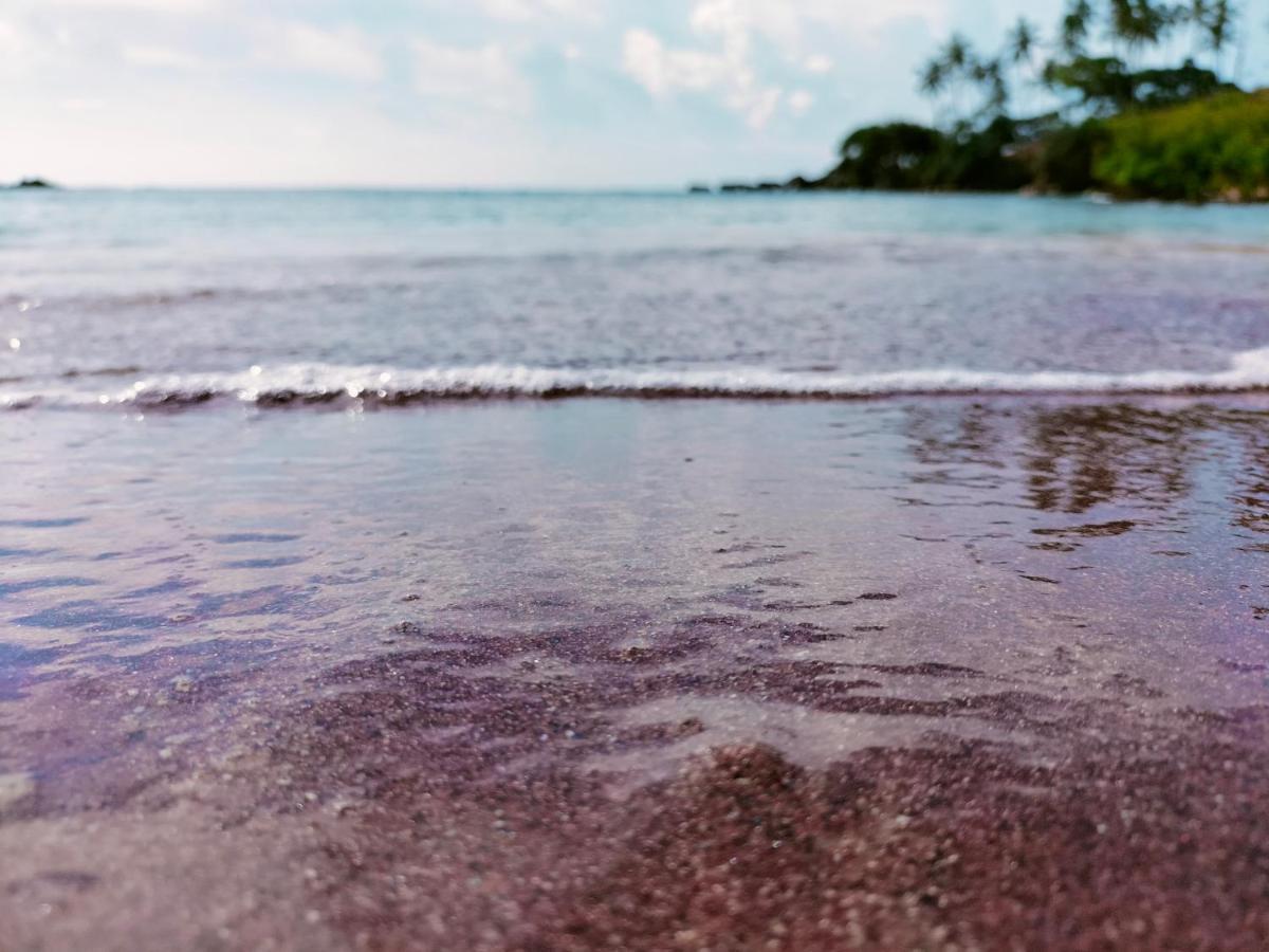 ホテル Secret Swell タンガラ エクステリア 写真