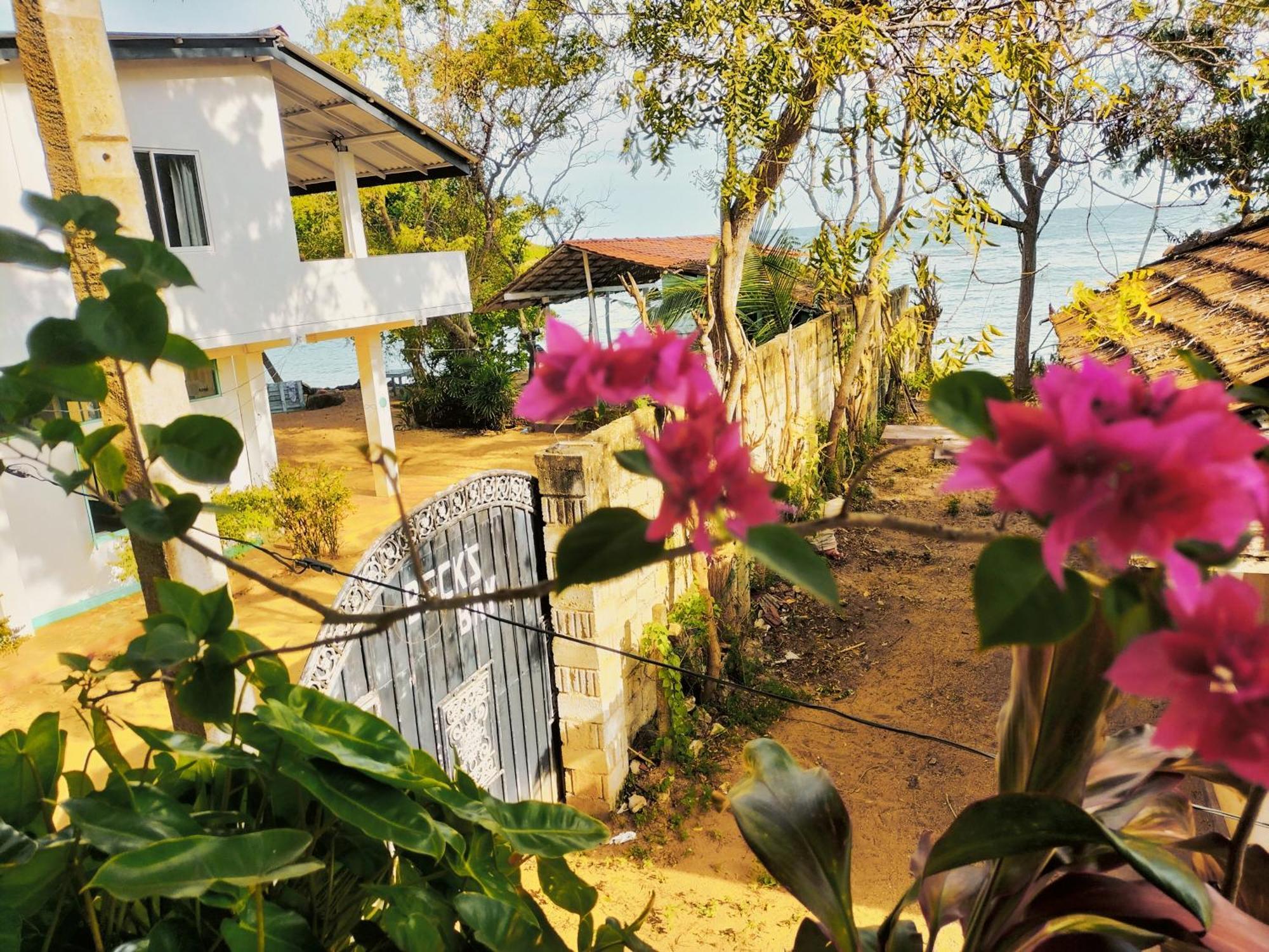ホテル Secret Swell タンガラ 部屋 写真
